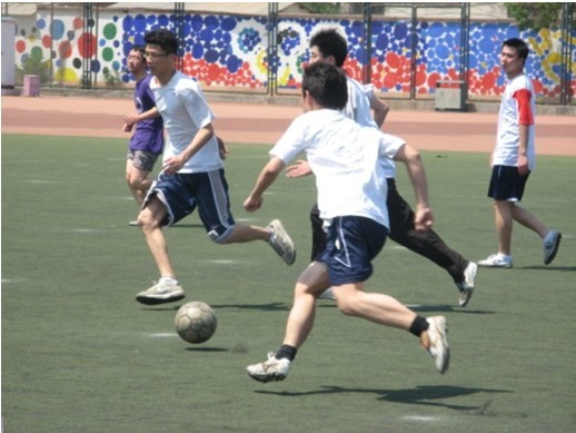 战术多样性 战术多样性